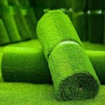 Outdoor Artificial Grass Carpet, artificial grass carpet Kenya, artificial grass Kenya, artificial turf Kenya, synthetic grass Kenya, synthetic grass carpet Kenya, artificial lawn Kenya, synthetic lawn Kenya, outdoor artificial grass Kenya, artificial grass carpet for outdoor Kenya, artificial turf carpet Kenya, artificial lawn carpet Kenya, fake grass carpet Kenya, fake grass Kenya, artificial green grass Kenya, synthetic green grass Kenya, outdoor synthetic grass Kenya, garden artificial grass Kenya, garden turf Kenya, lawn turf Kenya, artificial garden lawn Kenya, synthetic garden lawn Kenya, artificial grass flooring Kenya, artificial turf flooring Kenya, green artificial carpet Kenya, grass carpet Kenya, outdoor grass carpet Kenya, artificial grass mat Kenya, synthetic grass mat Kenya, artificial grass roll Kenya, artificial turf roll Kenya, synthetic grass roll Kenya, artificial lawn roll Kenya, outdoor turf roll Kenya, artificial grass rug Kenya, synthetic grass rug Kenya, outdoor grass rug Kenya, decorative artificial grass Kenya, landscaping artificial grass Kenya, landscaping turf Kenya, where to buy outdoor artificial grass carpet in Kenya, outdoor artificial grass carpet Kenya, artificial grass carpet for sale Kenya, artificial grass carpet Kenya, outdoor artificial turf Kenya, artificial grass flooring Kenya, synthetic grass carpet Kenya, synthetic turf carpet Kenya, artificial lawn carpet Kenya, fake grass carpet Kenya, artificial grass mat Kenya, outdoor fake grass Kenya, artificial turf for outdoor spaces Kenya, premium artificial grass carpet Kenya, high quality artificial grass Kenya, affordable artificial grass carpet Kenya, durable artificial grass carpet Kenya, realistic artificial grass carpet Kenya, natural looking artificial grass Kenya, modern artificial grass flooring Kenya, commercial artificial grass carpet Kenya, heavy duty artificial turf Kenya, UV resistant artificial grass Kenya, weather resistant artificial grass Kenya, waterproof artificial grass carpet Kenya, low maintenance artificial grass Kenya, easy clean artificial grass carpet Kenya, pet friendly artificial grass Kenya, child friendly artificial grass Kenya, non-slip artificial grass carpet Kenya, outdoor synthetic grass mat Kenya, artificial grass roll Kenya, artificial turf roll Kenya, artificial grass rolls for sale Kenya, synthetic grass rolls Kenya, artificial lawn roll Kenya, artificial grass carpet roll Kenya, artificialOutdoor Artificial Grass Carpet, Outdoor Artificial Grass Carpet Kenya, Outdoor Artificial Grass Carpet Nairobi, Outdoor Artificial Grass Carpet near me, Outdoor Artificial Grass Carpet for sale, Outdoor Artificial Grass Carpet price Kenya, Outdoor Artificial Grass Carpet price Nairobi, buy Outdoor Artificial Grass Carpet Kenya, buy Outdoor Artificial Grass Carpet Nairobi, Outdoor Artificial Grass Carpet supplier Kenya, Outdoor Artificial Grass Carpet supplier Nairobi, Outdoor Artificial Grass Carpet dealer Kenya, Outdoor Artificial Grass Carpet dealer Nairobi, Outdoor Artificial Grass Carpet shop Kenya, Outdoor Artificial Grass Carpet shop Nairobi, Outdoor Artificial Grass Carpet showroom Nairobi, Outdoor Artificial Grass Carpet delivery Kenya, Outdoor Artificial Grass Carpet wholesale Kenya, Outdoor Artificial Grass Carpet wholesale Nairobi, Outdoor Artificial Grass Carpet bulk order Kenya, Outdoor Artificial Grass Carpet bulk purchase Nairobi, Outdoor Artificial Grass Carpet affordable Kenya, Outdoor Artificial Grass Carpet best price Kenya, Outdoor ArtificialOutdoor Artificial Grass Carpet delivery Kenya, Outdoor Artificial Grass Carpet supplier Kenya, Outdoor Artificial Grass Carpet supply Kenya, Outdoor Artificial Grass Carpet wholesale Kenya, Outdoor Artificial Grass Carpet retail Kenya, Outdoor Artificial Grass Carpet Nairobi, Outdoor Artificial Grass Carpet Kisumu, Outdoor Artificial Grass Carpet Mombasa, Outdoor Artificial Grass Carpet Nakuru, Outdoor Artificial Grass Carpet Eldoret, Outdoor Artificial Grass Carpet Kisii, Outdoor Artificial Grass Carpet Thika, Outdoor Artificial Grass Carpet Kiambu, Outdoor Artificial Grass Carpet Machakos, Outdoor Artificial Grass Carpet Nyeri, Outdoor Artificial Grass Carpet Meru, Outdoor Artificial Grass Carpet Kakamega, Outdoor Artificial Grass Carpet Bungoma, Outdoor Artificial Grass Carpet Kericho, Outdoor Artificial Grass Carpet Migori, Outdoor Artificial Grass Carpet Embu, Outdoor Artificial Grass Carpet Kitale, Outdoor Artificial Grass Carpet Naivasha, Outdoor Artificial Grass Carpet Nanyuki, Outdoor Artificial Grass Carpet Malindi, Outdoor Artificial Grass Carpet Voi, Outdoor Artificial Grass Carpet Ruiru, Outdoor Artificial Grass Carpet Rongai, Outdoor Artificial Grass Carpet Juja, Outdoor Artificial Grass Carpet Athi River, Outdoor Artificial Grass Carpet Limuru, Outdoor Artificialadjustable kids desk and chair set, adjustable kids desk chair set Kenya, kids study desk and chair set Kenya, children study desk and chair Kenya, adjustable children's desk Kenya, adjustable kids study desk Kenya, adjustable children's study table Kenya, kids adjustable chair Kenya, adjustable study chair for kids Kenya, kids study table and chair Kenya, children's desk and chair set Kenya, kids school desk and chair Kenya, kids learning desk and chair Kenya, kids homework desk and chair Kenya, kids reading desk and chair Kenya, kids writing desk and chair Kenya, kids bedroom desk and chair Kenya, kids home study desk Kenya, children's study furniture Kenya, kids study furniture Kenya, children's learning furniture Kenya, kids bedroom furniture Kenya, kids classroom desk and chair Kenya, school furniture for kids Kenya, primary school desk and chair Kenya, student desk and chair Kenya, children's writing table Kenya, kids writing table and chair Kenya, kids computer desk and chair Kenya, children's computer desk Kenya, adjustable children's chair Kenya, height adjustable kids chair Kenya, ergonomic kids desk and chair Kenya, ergonomic children's study set Kenya, ergonomic study desk for kids Kenya, ergonomic study chair for children Kenya, height adjustable study deskOutdoor Artificial Grass Carpet Nairobi, artificial grass carpet Nairobi, artificial grass Nairobi, artificial turf Nairobi, outdoor artificial turf Nairobi, synthetic grass carpet Nairobi, synthetic grass Nairobi, fake grass carpet Nairobi, artificial lawn Nairobi, synthetic lawn Nairobi, outdoor grass carpet Nairobi, artificial garden grass Nairobi, garden artificial grass Nairobi, balcony artificial grass Nairobi, patio artificial grass Nairobi, terrace artificial grass Nairobi, rooftop artificial grass Nairobi, outdoor flooring Nairobi, artificial grass flooring Nairobi, synthetic turf flooring Nairobi, decorative artificial grass Nairobi, landscaping artificial grass Nairobi, landscape turf Nairobi, garden turf Nairobi, lawn turf Nairobi, green artificial carpet Nairobi, green turf carpet Nairobi, outdoor synthetic carpet Nairobi, artificial grass mat Nairobi, synthetic grass mat Nairobi, artificial turf mat Nairobi, outdoor grass mat Nairobi, artificial lawn carpet Nairobi, garden lawn carpet Nairobi, balcony grass carpet Nairobi, patio grass carpet Nairobi, poolside artificial grass Nairobi, playgroundOutdoor Artificial Grass Carpet Kenya, Outdoor Artificial Grass Carpet Nairobi, Outdoor Artificial Grass Carpet Mombasa, Outdoor Artificial Grass Carpet Kisumu, Outdoor Artificial Grass Carpet Nakuru, Outdoor Artificial Grass Carpet Eldoret, Outdoor Artificial Grass Carpet Kisii, Outdoor Artificial Grass Carpet Thika, Outdoor Artificial Grass Carpet Machakos, Outdoor Artificial Grass Carpet Nyeri, Outdoor Artificial Grass Carpet Meru, Outdoor Artificial Grass Carpet Kakamega, Outdoor Artificial Grass Carpet Bungoma, Outdoor Artificial Grass Carpet Kitale, Outdoor Artificial Grass Carpet Kericho, Outdoor Artificial Grass Carpet Bomet, Outdoor Artificial Grass Carpet Migori, Outdoor Artificial Grass Carpet Homa Bay, Outdoor Artificial Grass Carpet Siaya, Outdoor Artificial Grass Carpet Busia, Outdoor Artificial Grass Carpet Vihiga, Outdoor Artificial Grass Carpet Embu, Outdoor Artificial Grass Carpet Murang'a, Outdoor Artificial Grass Carpet Kiambu, Outdoor Artificial Grass Carpet Kajiado, Outdoor Artificial Grass Carpet Narok, Outdoor Artificial Grass Carpet Nanyuki, Outdoor Artificial Grass Carpet Naivasha, Outdoor Artificial Grass Carpet Malindi, Outdoor Artificialoutdoor artificial grass carpet, artificial grass carpet, artificial grass Kenya, artificial turf Kenya, synthetic grass carpet, synthetic grass Kenya, artificial lawn Kenya, synthetic lawn Kenya, fake grass carpet, fake grass Kenya, outdoor turf carpet, outdoor artificial turf, artificial lawn carpet, green artificial grass, artificial grass Nairobi, artificial grass Kisumu, artificial grass Mombasa, artificial grass Nakuru, artificial grass Eldoret, artificial grass Kisii, artificial turf Nairobi, artificial turf Kisumu, artificial turf Mombasa, artificial turf Nakuru, artificial turf Eldoret, artificial turf Kisii, synthetic grass Nairobi, synthetic grass Kisumu, synthetic grass Mombasa, synthetic grass Nakuru, synthetic grass Eldoret, synthetic grass Kisii, outdoor grass carpet Kenya, garden artificial grass, artificial garden turf, garden grass carpet, lawn turf Kenya, decorative artificial grass, landscaping artificial grass, landscaping turf Kenya, outdoor landscaping carpet, artificial lawn for garden, artificial grass for garden, artificial grass for balcony, artificial grass for patio, artificial grass for terrace,Outdoor Artificial Grass Carpet Mandera, Outdoor Artificial Grass Carpet Isiolo, Outdoor Artificial Grass Carpet Marsabit, Outdoor Artificial Grass Carpet Lodwar, Outdoor Artificial Grass Carpet Kitui, Outdoor Artificial Grass Carpet Makueni, Outdoor Artificial Grass Carpet Wote, Outdoor Artificial Grass Carpet Kapsabet, Outdoor Artificial Grass Carpet Nandi, Outdoor Artificial Grass Carpet Kabarnet, Outdoor Artificial Grass Carpet Baringo, Outdoor Artificial Grass Carpet Kapenguria, Outdoor Artificial Grass Carpet West Pokot, Outdoor Artificial Grass Carpet Chuka, Outdoor Artificial Grass Carpet Kerugoya, Outdoor Artificial Grass Carpet Karatina, Outdoor Artificial Grass Carpet Limuru, Outdoor Artificial Grass Carpet Ruiru, Outdoor Artificial Grass Carpet Kikuyu, Outdoor Artificial Grass Carpet Ngong, Outdoor Artificial Grass Carpet Kitengela, Outdoor Artificial Grass Carpet Athi River, Outdoor Artificial Grass Carpet Ongata Rongai, Outdoor Artificial Grass Carpet Juja, Outdoor Artificial Grass Carpet Gatundu, Outdoor Artificial Grass Carpet Webuye,