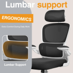 orthopedic office chair with knob, orthopedic office chair, ergonomic office chair with knob, adjustable orthopedic office chair, ergonomic office chair, adjustable office chair, office chair with adjustment knob, office chair with lumbar support, orthopedic ergonomic chair, lumbar support office chair, adjustable back support office chair, executive orthopedic office chair, ergonomic executive office chair, comfortable office chair, supportive office chair, posture support office chair, office chair with backrest adjustment, office chair with tension knob, office chair with tilt adjustment, reclining ergonomic office chair, swivel orthopedic office chair, height adjustable office chair, padded orthopedic office chair, cushioned ergonomic office chair, high back orthopedic office chair, mesh orthopedic office chair, leather orthopedic office chair, executive swivel office chair, professional office chair, modern ergonomic office chair, premium orthopedic chair, durable office chair, heavy duty ergonomic chair, office chair for long working hours, office chair for computer desk, office chair for home office, office chair for corporate office, office chair for study room, office chair for workstation, office chair for managers, office chair for executives, office chair for employees, office chair for reception office, ergonomic task chair, office seating furniture, posture friendly office chair, adjustable lumbar support chair, office chair with ergonomic controls, ergonomic desk chair with knob, orthopedic computer chair, supportive desk chair, office chair for productivity, comfortable desk seating, office chair for professional use, ergonomic seating solutions, office chair with reclining mechanism, adjustable tilt office chair, office chair with backrest tension control, office chair with supportive backrest, orthopedic office chair price in kenya, ergonomic office chair with knob kenya, buy orthopedic office chair kenya, office chair with knob for sale kenya, ergonomic office chair price kenya, adjustable office chair for sale kenya, lumbar support chair kenya, executive ergonomic chair kenya, orthopedic desk chair kenya, comfortable office chair kenya, premium office chair kenya, affordable ergonomic office chair kenya, quality orthopedic chair kenya, durable office chair kenya, swivel office chair kenya, height adjustable chair kenya, reclining office chair kenya, office chair with back support kenya, ergonomic computer chair kenya, office furniture kenya, office seating kenya, executive office furniture kenya, home office chair kenya, workstation chair kenya, ergonomic chair supplier kenya, orthopedic chair supplier kenya, office chair shop kenya, office chairs online kenya, order ergonomic office chair kenya, office chair delivery kenya, furniture delivery across kenya, orthopedic office chair nairobi, ergonomic office chair nairobi, office chair with knob nairobi, lumbar support chair nairobi, executive office chair westlands, ergonomic chair kilimani, orthopedic chair industrial area nairobi, office chair lavington, ergonomic office chair kileleshwa, office chair parklands, orthopedic chair eastleigh, office chair south b, ergonomic chair langata, office chair embakasi, orthopedic office chair kasarani, ergonomic chair rongai, office chair thika road, orthopedic office chair kisumu, ergonomic office chair mombasa, office chair nakuru, orthopedic chair eldoret, ergonomic office chair kisii, office chair nyamira, orthopedic office chair bungoma, ergonomic chair kakamega, office chair kericho, orthopedic chair nyeri, ergonomic office chair meru, office chair thika, orthopedic chair kiambu, ergonomic office chair machakos, office chair naivasha, orthopedic chair nanyuki, ergonomic office chair kitale, office chair malindi, orthopedic chair kilifi, ergonomic office chair migori, office chair homa bay, orthopedic chair busia, ergonomic office chair narok, office chair bomet, orthopedic chair embu, ergonomic office chair garissa, office chair kitui, ergonomic seating for offices kenya, orthopedic chair for computer work kenya, adjustable office chair for long hours kenya, office chair with back support for work kenya, ergonomic chair for home office kenya, orthopedic office chair for businesses kenya, comfortable office seating for employees kenya, ergonomic chairs for corporate offices kenya, adjustable swivel chairs for workstations kenya, professional ergonomic office furniture kenya