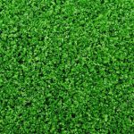 high quality premium green grass carpet, premium green grass carpet, artificial green grass carpet, artificial grass carpet, green grass carpet, synthetic grass carpet, premium artificial grass, high quality artificial grass, luxury green grass carpet, decorative grass carpet, artificial turf carpet, green turf carpet, synthetic turf carpet, outdoor grass carpet, indoor grass carpet, artificial lawn carpet, green lawn carpet, realistic artificial grass, soft artificial grass carpet, durable grass carpet, premium synthetic turf, natural look artificial grass, lush green artificial grass, thick green grass carpet, soft green turf, decorative artificial turf, premium lawn carpet, modern green grass carpet, artificial grass flooring, green grass flooring, fake grass carpet, fake lawn carpet, outdoor artificial turf, indoor artificial turf, landscaping grass carpet, garden grass carpet, balcony grass carpet, terrace grass carpet, patio grass carpet, rooftop grass carpet, veranda grass carpet, backyard artificial grass, garden turf carpet, decorative lawn turf, artificial garden carpet, green carpet for home, artificial grass for home, premium outdoor carpet, green outdoor flooring, artificial grass mat, green grass mat, synthetic grass mat, premium turf mat, artificial grass runner, green grass rug, artificial grass rug, outdoor green rug, garden floor covering, green floor carpet, decorative green flooring, artificial grass for landscaping, artificial grass for decoration, artificial grass for events, event grass carpet, exhibition grass carpet, wedding grass carpet, party grass carpet, wedding venue artificial grass, event venue grass flooring, exhibition stand grass carpet, trade show grass carpet, display grass carpet, stage grass carpet, photography backdrop grass carpet, green carpet for photoshoot, artificial grass for photo studio, artificial grass for schools, artificial grass for playgrounds, playground grass carpet, children's play area grass carpet, nursery playground artificial grass, daycare grass flooring, school compound artificial grass, sports grass carpet, training area artificial turf, recreational area grass carpet, football training turf, mini football pitch artificial grass, sports ground artificial turf, gym flooring grass carpet, fitness turf carpet, golf putting green carpet, putting green artificial grass, pet friendly artificial grass, artificial grass for dogs, artificial grass for pets, pet area grass carpet, kennel artificial grass, balcony artificial lawn, apartment balcony grass carpet, office decorative grass carpet, commercial artificial grass, residential artificial grass, premium commercial turf, hospitality landscaping grass, hotel garden grass carpet, restaurant outdoor grass carpet, cafe outdoor grass carpet, poolside artificial grass, swimming pool grass carpet, outdoor seating area grass carpet, garden pathway artificial grass, landscape design grass carpet, landscaping turf roll, artificial grass roll, green turf roll, synthetic grass roll, premium artificial turf roll, artificial grass installation, artificial grass supply, artificial turf installation, grass carpet installation services, artificial grass flooring installation, easy maintenance grass carpet, low maintenance artificial grass, weather resistant artificial grass, UV resistant grass carpet, fade resistant green turf, long lasting artificial grass, heavy duty grass carpet, high density artificial grass, premium quality turf, soft touch artificial grass, realistic green lawn carpet, all weather artificial turf, easy clean grass carpet, low upkeep lawn alternative, reusable artificial grass carpet, affordable artificial grass carpet, best green grass carpet, best artificial grass Kenya, premium artificial grass Kenya, green grass carpet Kenya, artificial grass carpet Kenya, synthetic grass Kenya, artificial turf Kenya, artificial lawn Kenya, green turf Kenya, landscaping grass Kenya, outdoor grass carpet Kenya, indoor grass carpet Kenya, artificial grass price Kenya, green grass carpet price Kenya, artificial turf price Kenya, synthetic grass price Kenya, premium turf price Kenya, artificial grass supplier Kenya, artificial grass shop Kenya, artificial turf supplier Kenya, buy artificial grass Kenya, buy green grass carpet Kenya, artificial grass for sale Kenya, green turf for sale Kenya, artificial lawn for sale Kenya, affordable grass carpet Kenya, high quality artificial grass Kenya, durable artificial grass Kenya, luxury artificial grass Kenya, artificial grass delivery Kenya, countrywide grass carpet delivery Kenya, landscaping materials Kenya, garden supplies Kenya, outdoor flooring Kenya, decorative carpet Kenya, artificial grass wholesale Kenya, artificial grass bulk orders Kenya, artificial grass installation Kenya, artificial grass Nairobi, green grass carpet Nairobi, artificial turf Nairobi, synthetic grass Nairobi, artificial lawn Nairobi, garden grass carpet Nairobi, artificial grass Westlands, artificial grass Kilimani, artificial grass Lavington, artificial grass Kileleshwa, artificial grass Parklands, artificial grass Eastleigh, artificial grass South B, artificial grass Langata, artificial grass Embakasi, artificial grass Kasarani, artificial grass Thika Road, artificial grass Kisumu, green grass carpet Kisumu, artificial turf Kisumu, synthetic grass Kisumu, artificial lawn Kisumu, artificial grass Mombasa, green grass carpet Mombasa, artificial turf Mombasa, artificial grass Nakuru, green grass carpet Nakuru, artificial turf Nakuru, artificial grass Eldoret, green grass carpet Eldoret, artificial turf Eldoret, artificial grass Kisii, green grass carpet Kisii, artificial turf Kisii, artificial grass Nyamira, green grass carpet Nyamira, artificial grass Bungoma, artificial grass Kakamega, artificial grass Kericho, artificial grass Nyeri, artificial grass Meru, artificial grass Thika, artificial grass Kiambu, artificial grass Machakos, artificial grass Naivasha, artificial grass Nanyuki, artificial grass Kitale, artificial grass Malindi, artificial grass Kilifi, artificial grass Migori, artificial grass Homa Bay, artificial grass Busia, artificial grass Narok, artificial grass Bomet, artificial grass Embu, artificial grass Garissa, artificial grass Kitui, premium green lawn carpet for gardens, high quality artificial grass for landscaping, premium synthetic grass for outdoor spaces, decorative green turf for balconies, artificial grass carpet for patios, realistic grass carpet for terraces, premium artificial lawn for homes, green grass carpet for event decoration, artificial turf for wedding venues, soft artificial grass for playgrounds, durable turf for commercial spaces, artificial grass for outdoor events, green turf for exhibition booths, artificial grass for photography setups, premium garden flooring carpet, artificial grass for hotel landscaping, artificial lawn for restaurant patios, high quality green carpet for outdoor decoration, premium turf for home gardens, synthetic grass for landscaping projects, artificial grass for compound decoration, green lawn carpet for office landscaping, artificial grass for rental properties, premium outdoor grass carpet for sale, affordable synthetic grass flooring, luxury green turf for landscaping, premium artificial grass supplier in Kenya, best artificial lawn for home gardens, high quality synthetic grass carpet for outdoor use, premium green grass carpet with realistic appearance